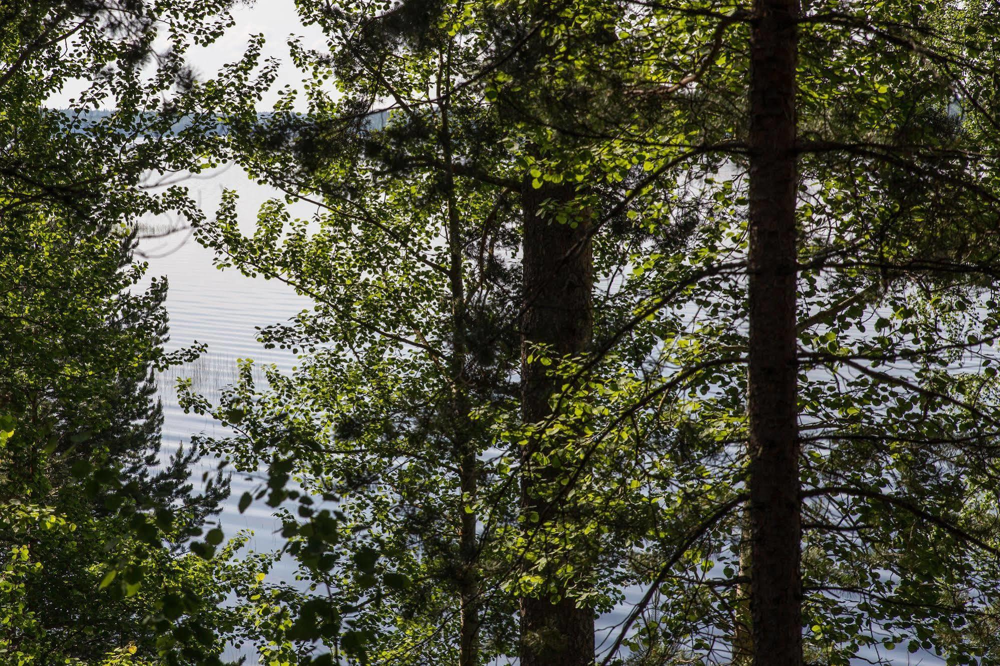 Hotel Kruunupuisto ปุงกาฮารียู ภายนอก รูปภาพ